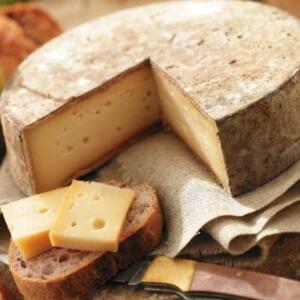Käse Käse